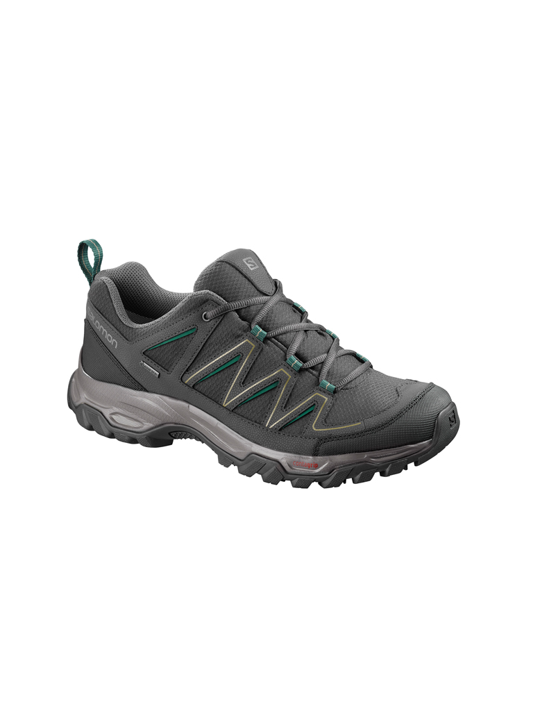 Salomon on sale arcalo gtx